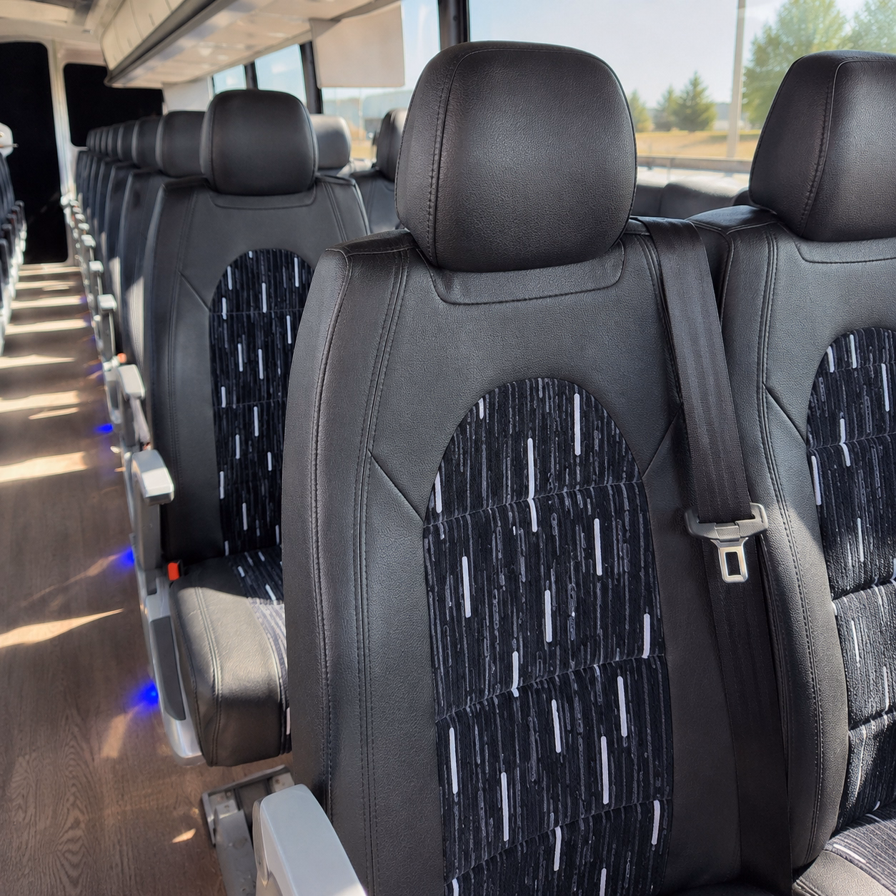 charter buses to exposition park s science and history museums from torrance